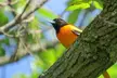 Explore the Outdoors: Park Ranger-Led Hike & Birdwatching For 1,2, or 4 -
 Up to 30% Off - Second Medium