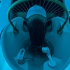 Image 3: 45 Min Express, 60 Min Traditional, or 90 Min Signature Head Spa
