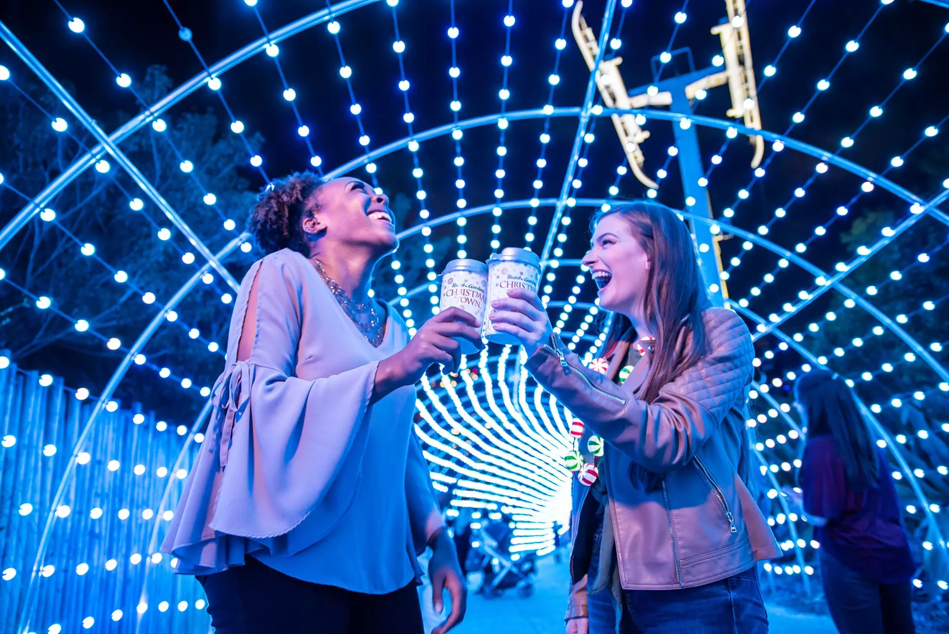 Save 49% on Busch Gardens Tampa Tickets!