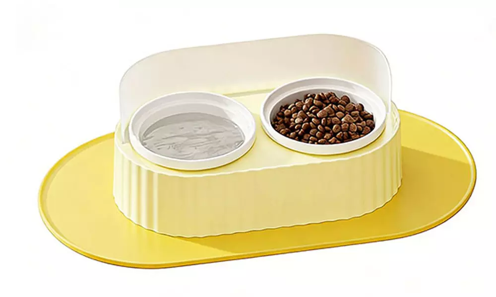 Ceramic Double Pet Bowl Set with Elevated Stand and Non-Slip Mat 350ml