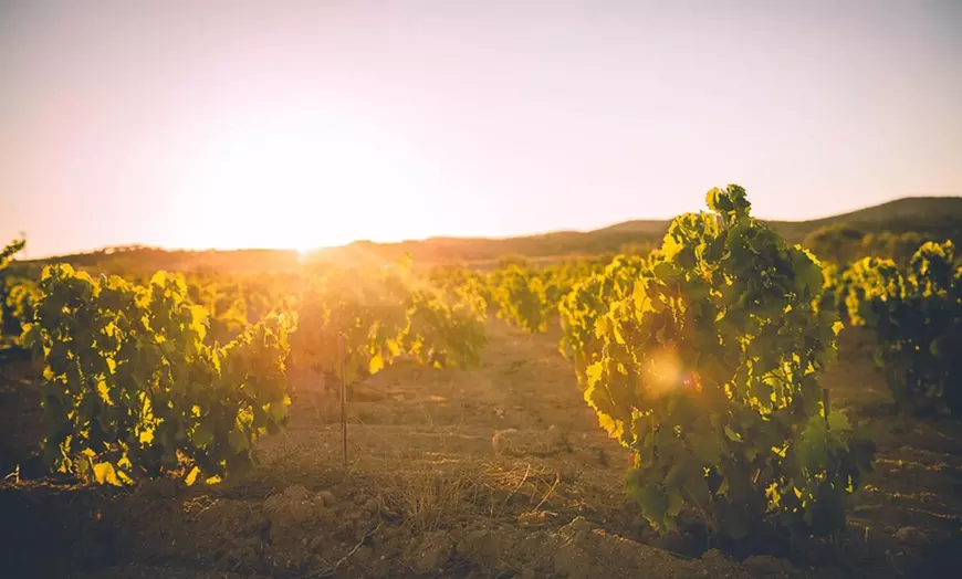 Image 13: Visita a bodega con cata de 3 vinos y aperitivos para hasta 6 personas