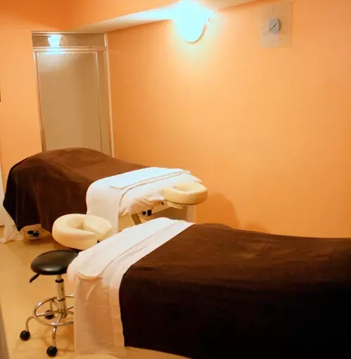 Enjoy 60 Minute Therapeutic / Couples Massage or Spa Package w/ Facial