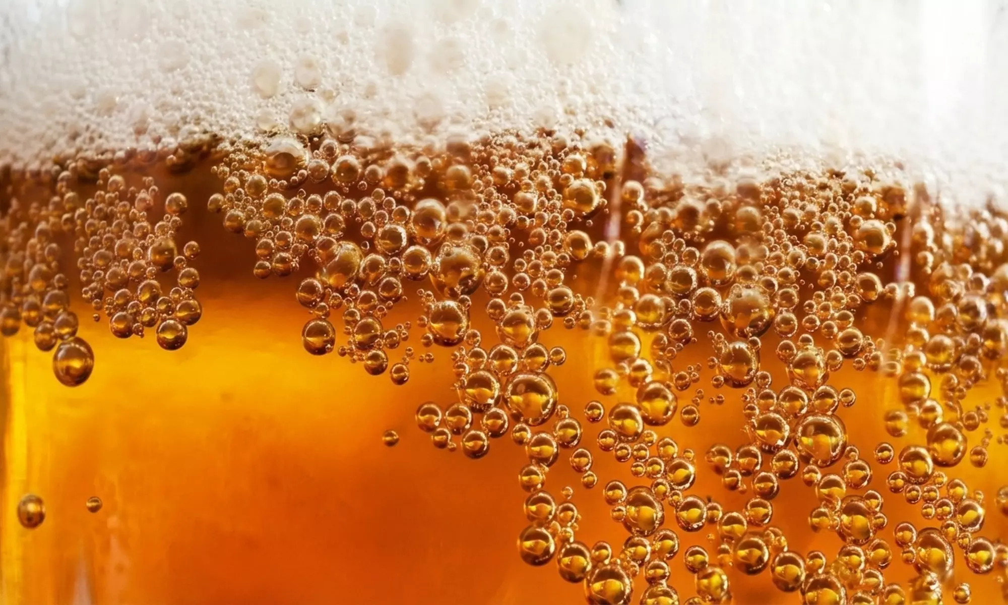 Craft Beer Flights Savory Waffles Dining Experiences for Two or Four at SoulMate Brewing (Up to 25% Off)