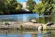Explore Kayak Rentals on Wateriders Kayak Tours Bridgeport's Guided Tours! - Second Medium