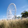 Image 3: Weinfahrt mit dem Riesenrad für 2 oder 4 Personen