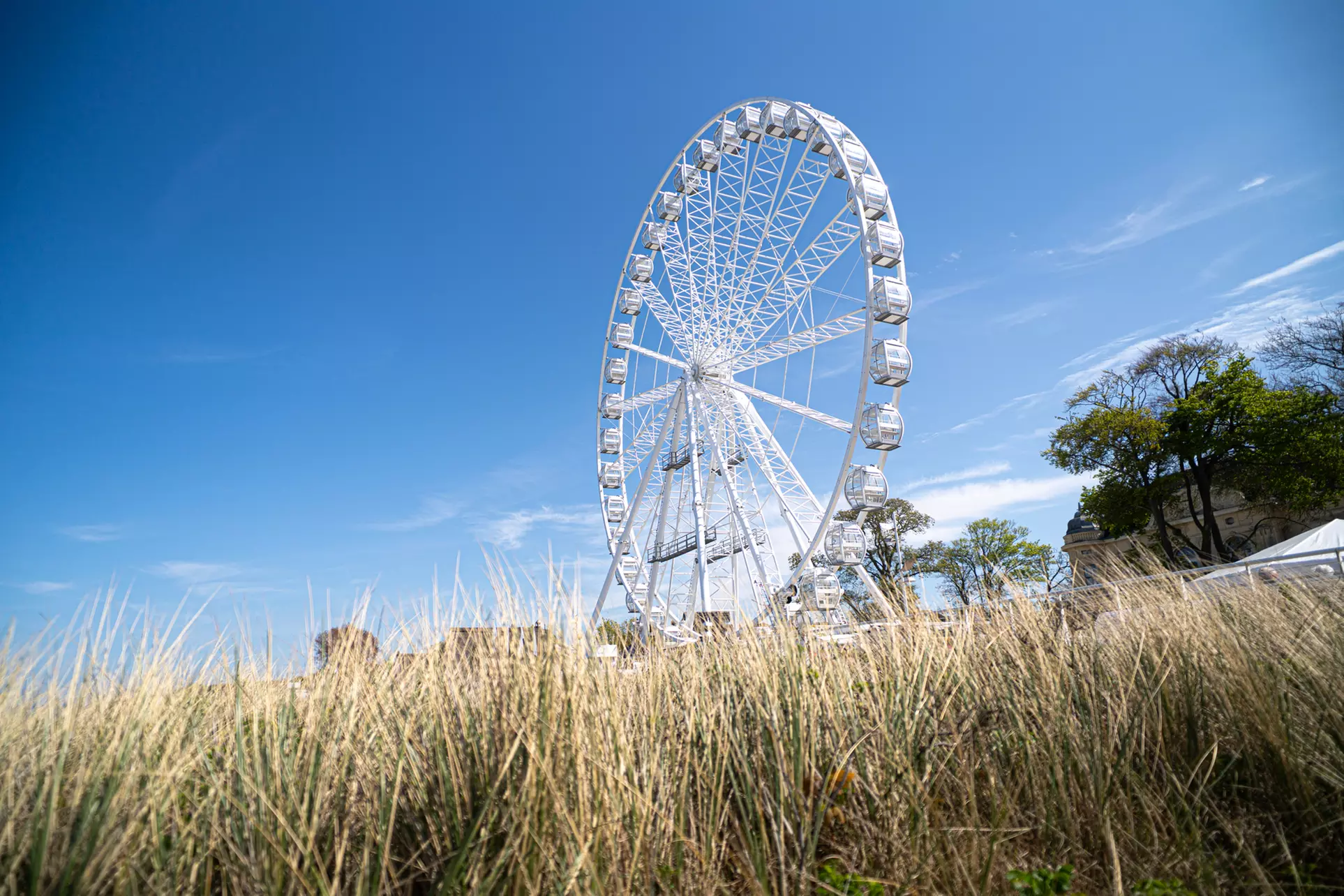 Weinfahrt in Kühlungsborn oder Warnemünde: Riesenrad-Fahrt mit Wein, Antipasti, Brot & Wasser (bis 32% sparen) - Second Medium