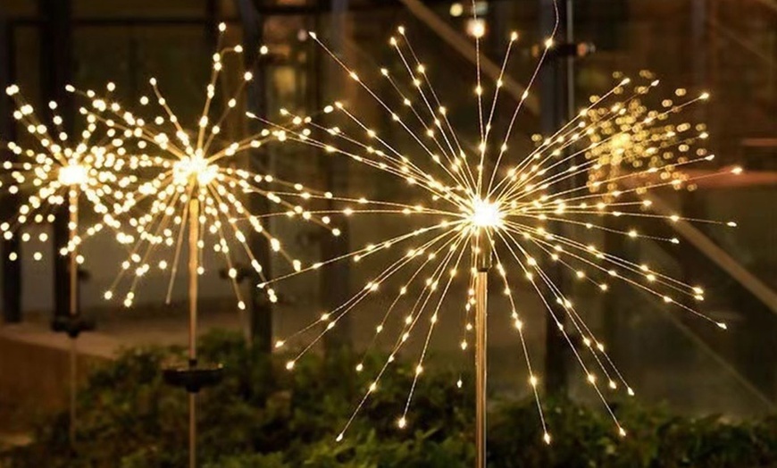Image 2: Packs of One, Two or Four Solar Dandelion Decorative Lights