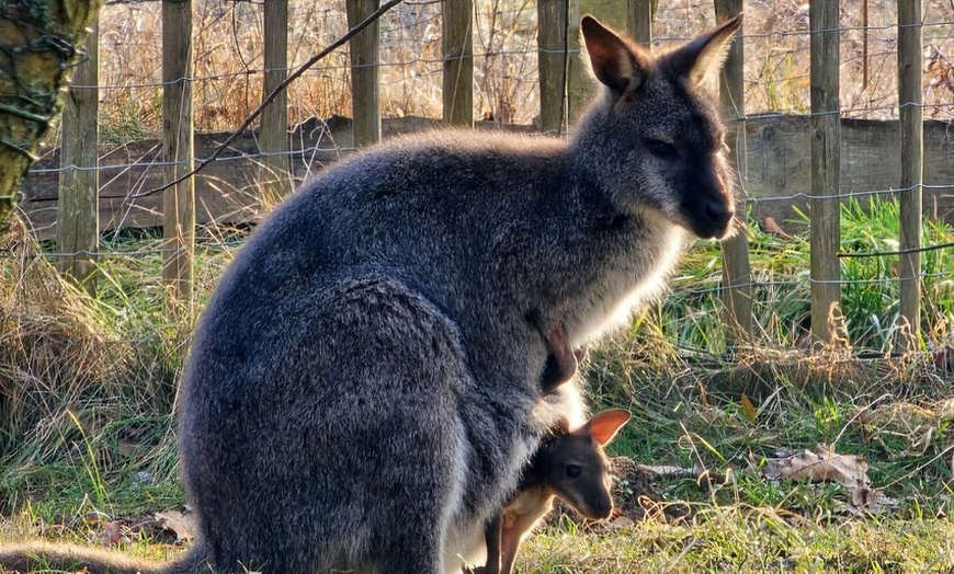 Image 5: Ticket für „Turiuswinkel“, opt. + Eintritt „Geheime Welt von Turisede“
