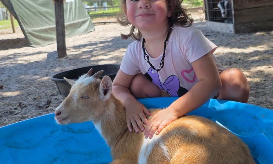 Image 4: Hands-On Animal Encounters Polk City