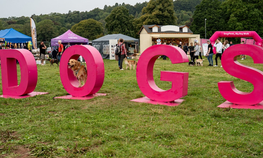 Image 7: DogFest 2025 | Your Favorite Dog-Friendly Festival 