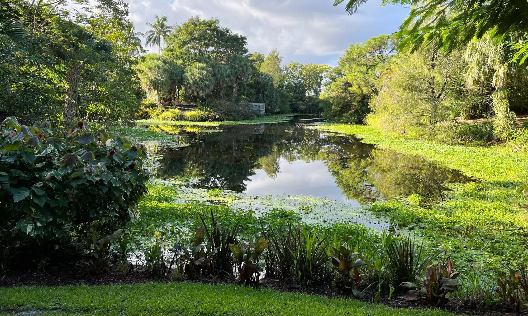Step Into Nature’s Wonderland at Mounts Garden with GA Tickets
