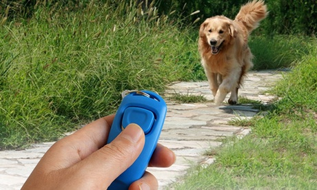 Fino a 3 clicker con fischietto sonico per cani disponibili in 3 colori