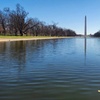 Image 25: New York City and Washington DC Day Tours Packages