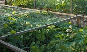 Vivo Protective Garden Netting