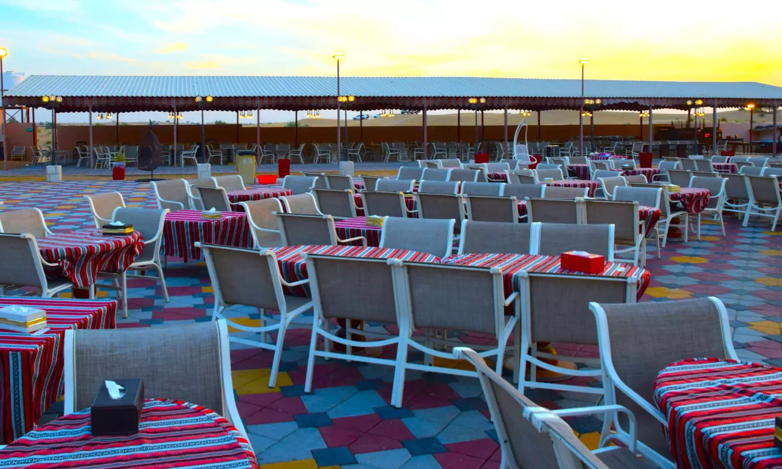 VIP Desert Safari Tour Home Pickup and Drop off for One, Two, or Four