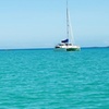 Image 7: Four-Hour Catamaran Cruise with Lunch for Up to 20 People