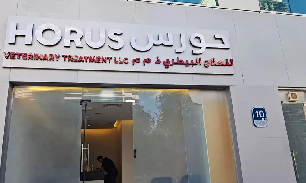 Small Cat/Dog, Medium Dog or Large Dog Full Grooming