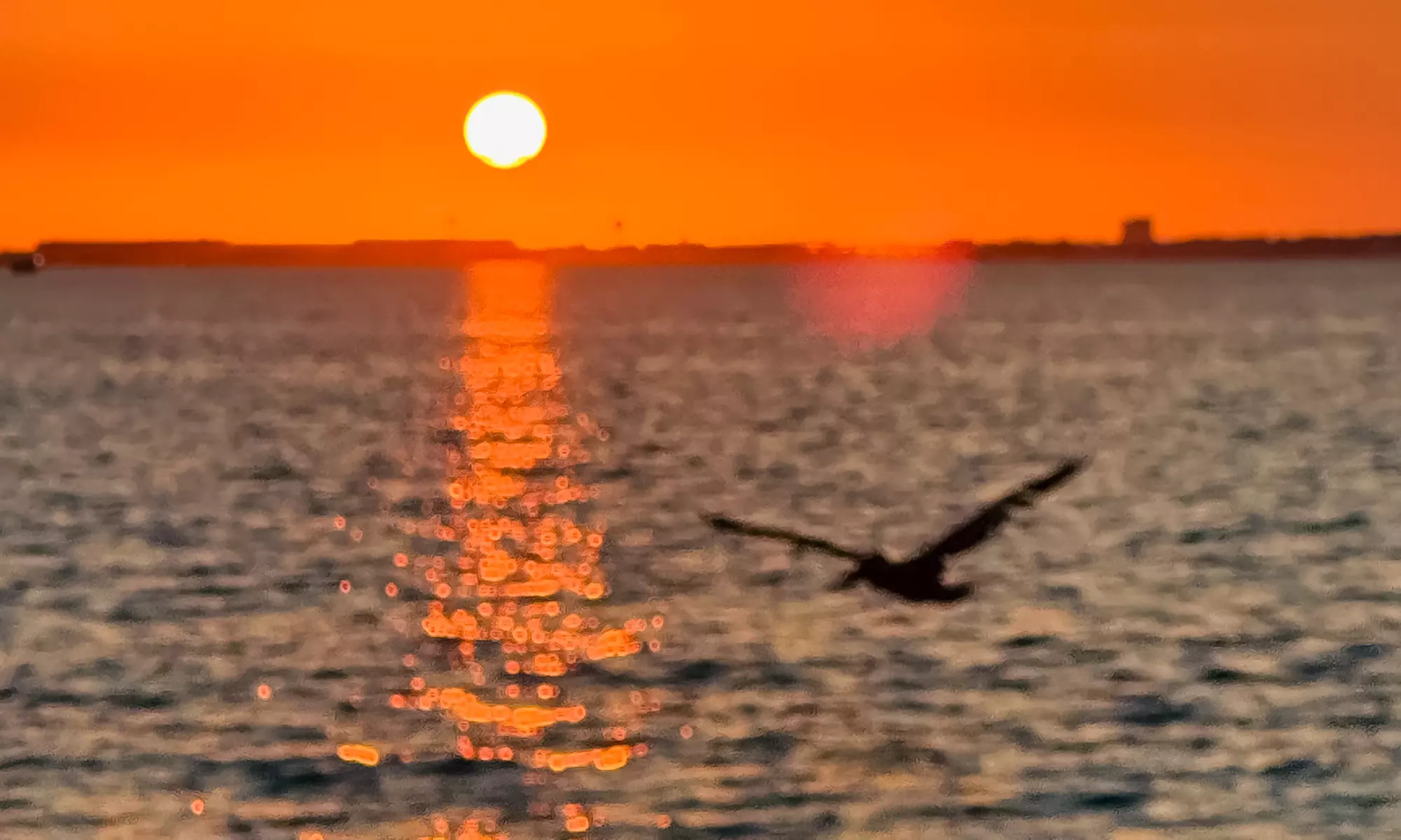 Capture Stunning Photos: Two or Four-Hour Emerald Coast Photo Safari