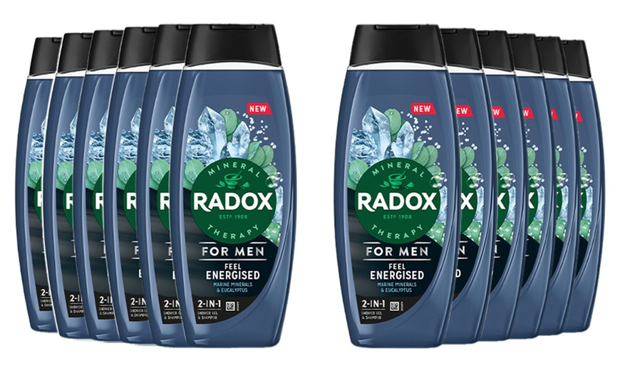 Image 10: Radox Mineral Therapy 2in1 Shower Gel and Shampoo 450ml