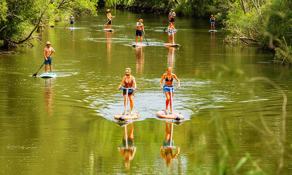 Ticket to Narrabeen Sup Creek Tour for Up to 11 People