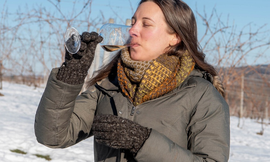 Image 5: Full Day Niagara Wine Tour with Transportation for Up To Four People