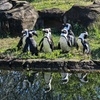 Image 4: GetOut Pittsburgh with Admission to 25+ Iconic Attractions