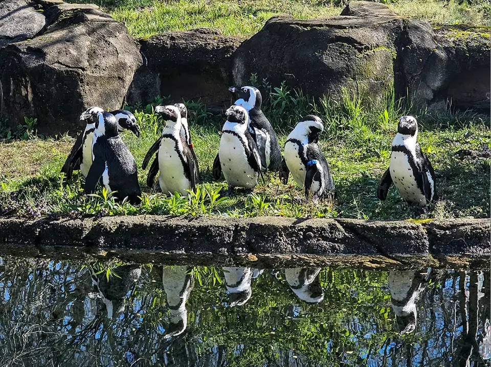 GetOut Pittsburgh with Admission to 25+ Iconic Attractions