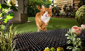 One, Two or Four Pest XT Cat Scat Mats