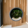 Image 2: Ozone Sauna Therapy for Recovery & Detoxification (1, 2 or 3 Sessions)