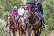 Exclusive 1 Hour Horseback Riding for Adults or Kids & Cowboy Cookout Options at Glenwood Adventure ( Up to 20% Off) - Second Medium
