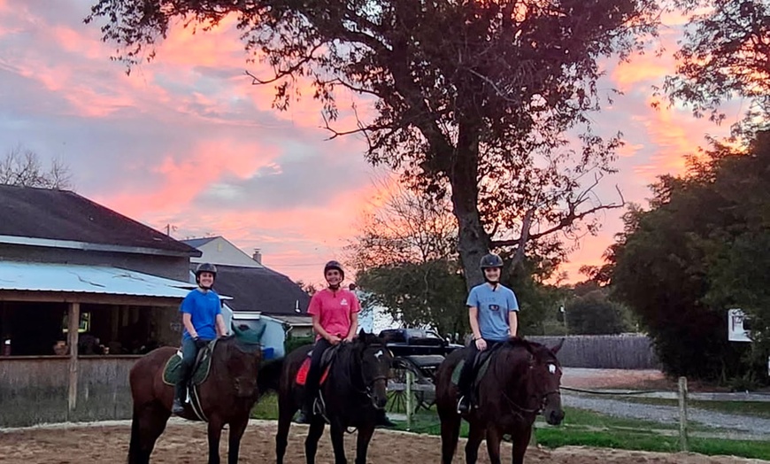 Image 5: Elevate Your Riding Skills: Scenic Horseback Riding Lesson for 2 or 4