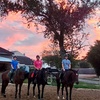 Image 5: Elevate Your Riding Skills: Scenic Horseback Riding Lesson for 2 or 4