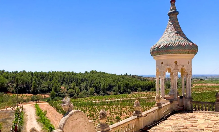 Image 15: Visita a una bodega, cata de vinos, vermut de bienvenida y aperitivo