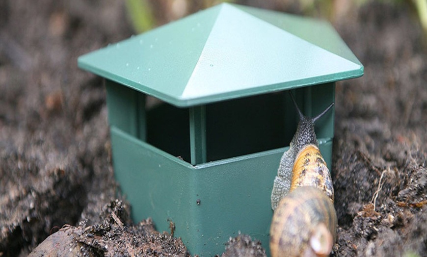 Image 7: One-, Four-, or Eight-Pack of Easy-to-Use Snail Traps