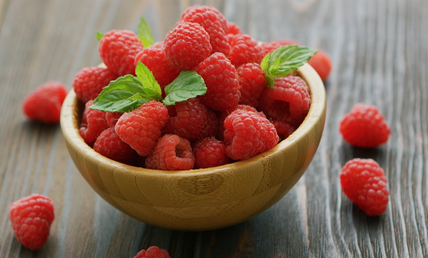 Image 6: Raspberry Growers Choice - 2ltr and 3ltr Potted Plants