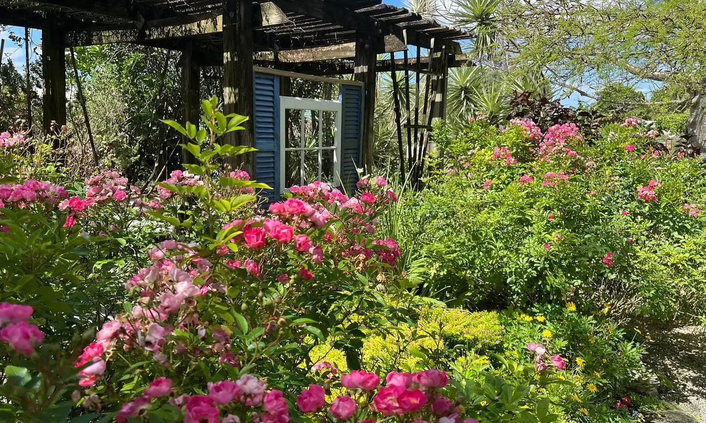 Step Into Nature’s Wonderland at Mounts Garden with GA Tickets
