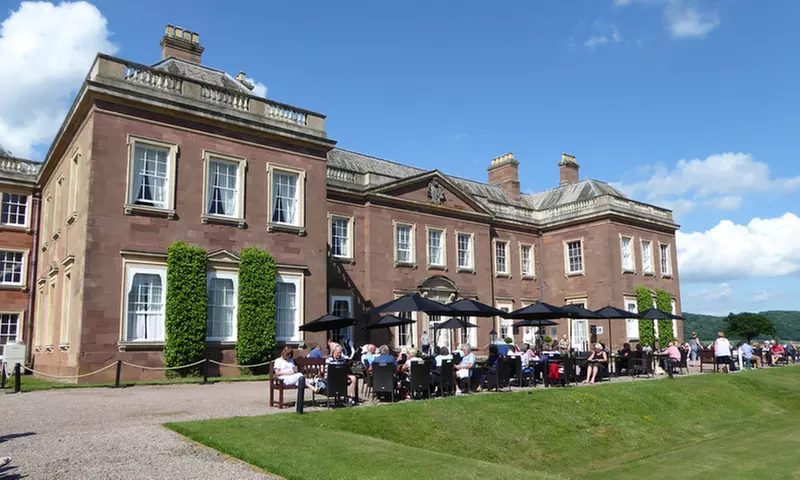 Toast the Day—Tea with Pimms or Prosecco for 1–4