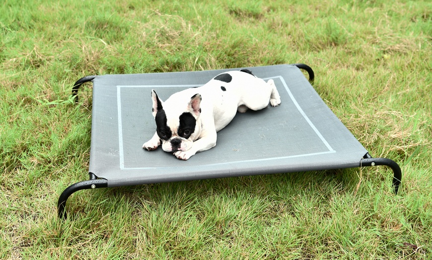 Image 1: Cama elevada para perros y gatos