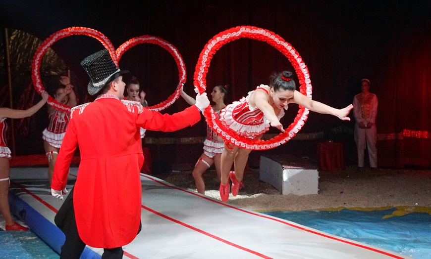 Image 5: Ticket für den Ludwigshafener Weihnachtscircus im Dezember 