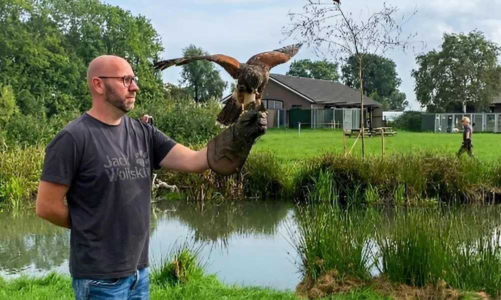 Interactieve roofvogelworkshop bij Settels Roofvogels