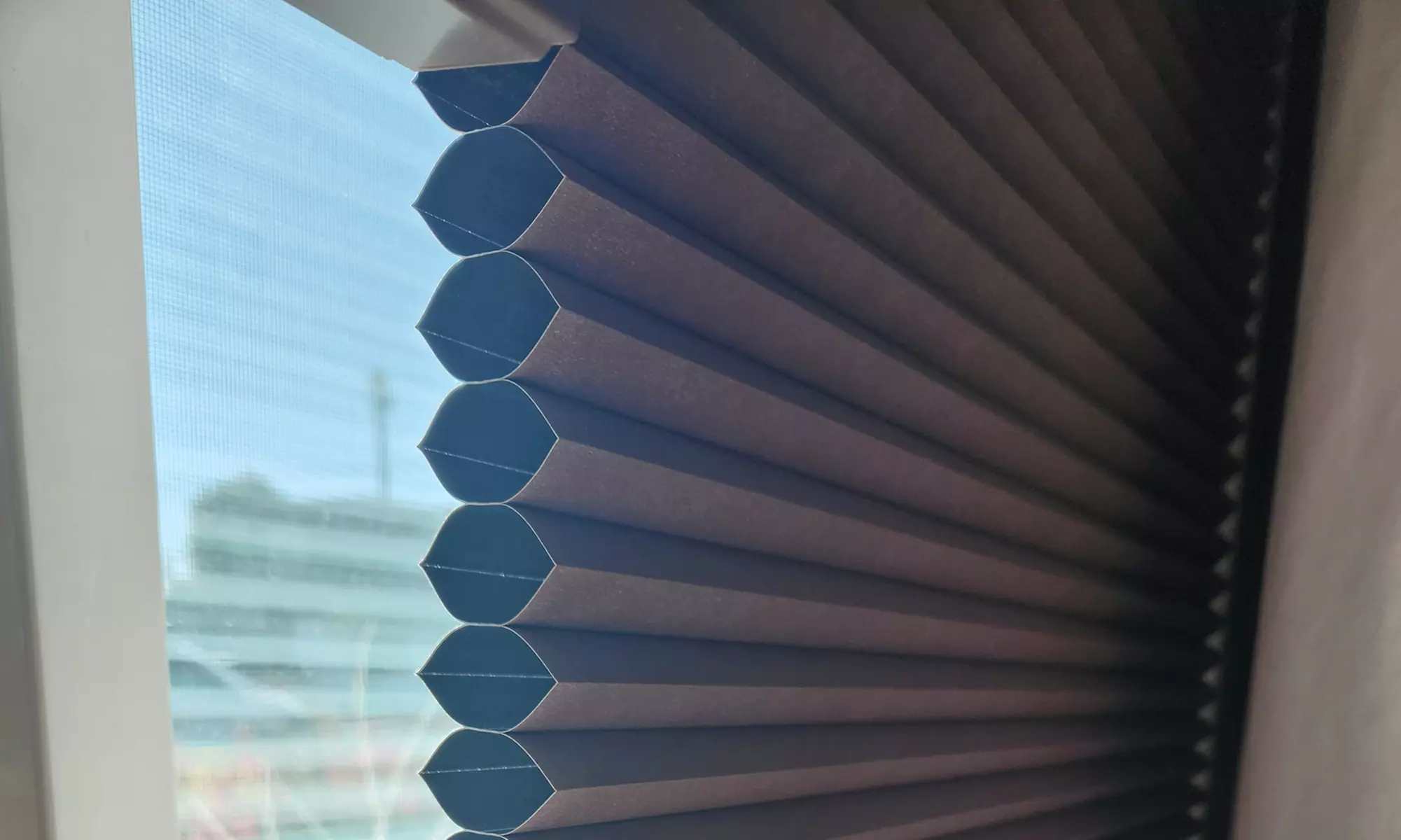 Custom Window Blinds, Mesa Special, or Scottsdale Style Roller Shades
