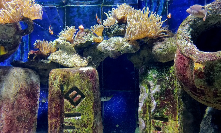 Image 2: Lost World Aquarium – Entry Tickets for Kids, Adults & Families