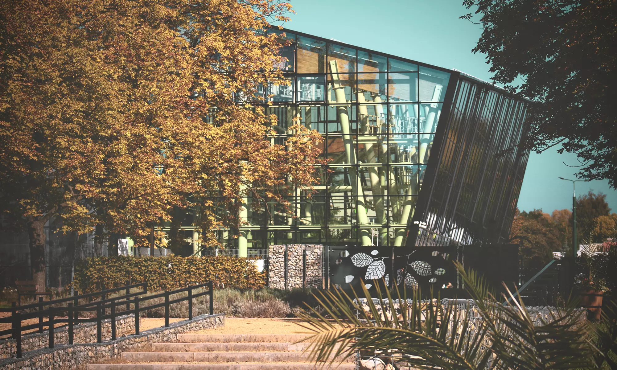 Zobacz z bliska egzotyczne rośliny i zwierzęta: bilety do Egzotarium