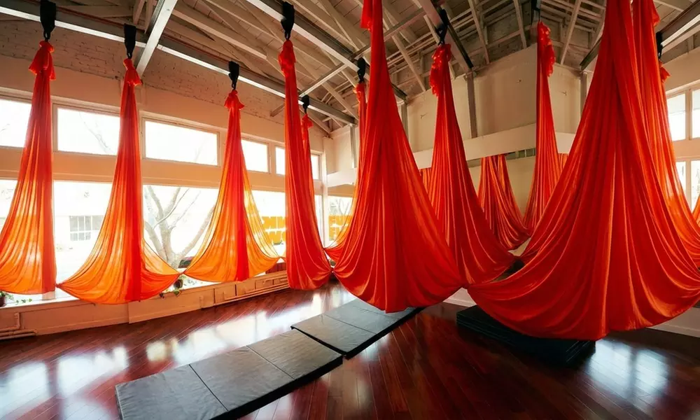 Aerial Fitness Experience – Dallas