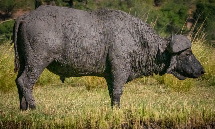 Image 50: Zimbabwe: 7-Night Yoga & Safari Retreat