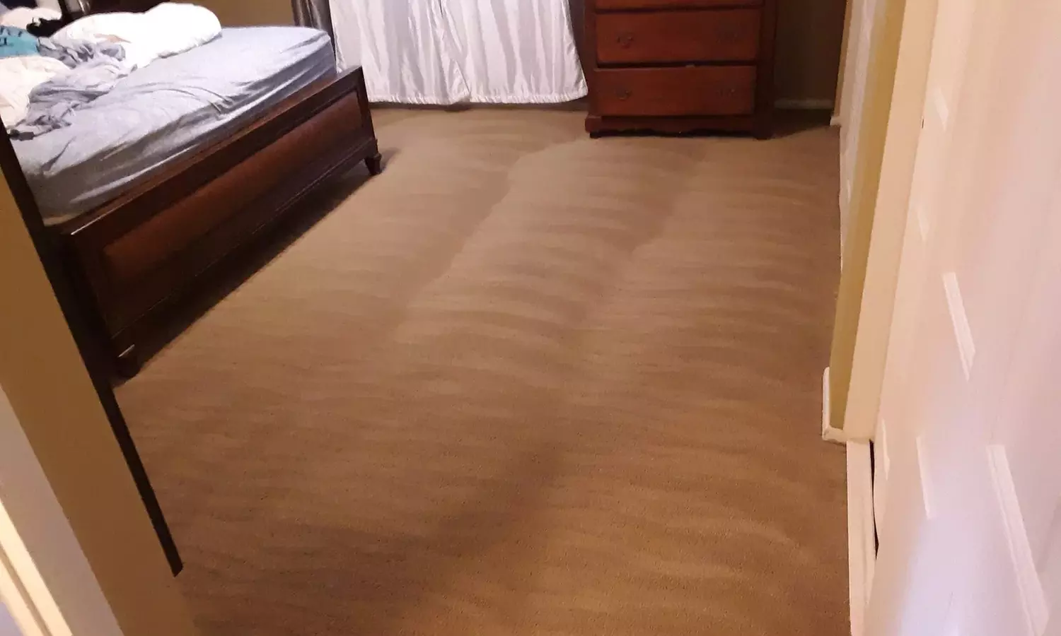 Carpet Cleaning (2-4 Rooms & Hallway) + Upholstery Cleaning  
