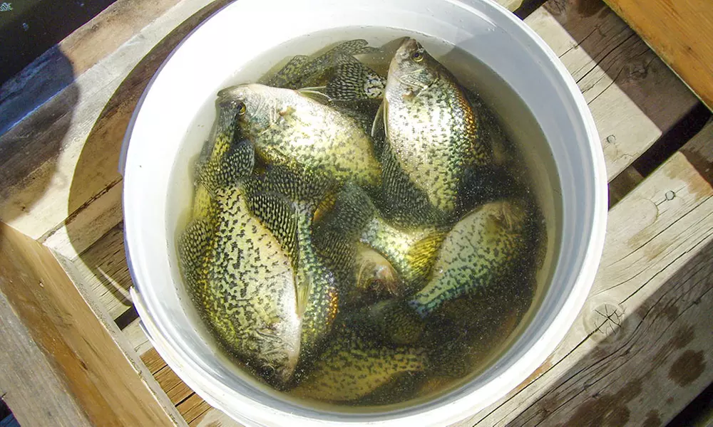 FisHaven Experience for One Adult, Enjoy 4 Days