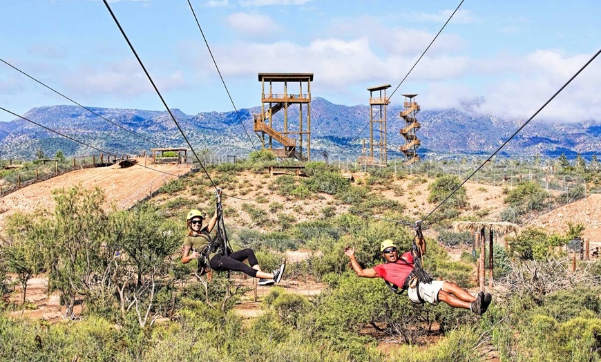 Image 4: Soar Above Wildlife on a 2-Hour Predator Zipline Experience
