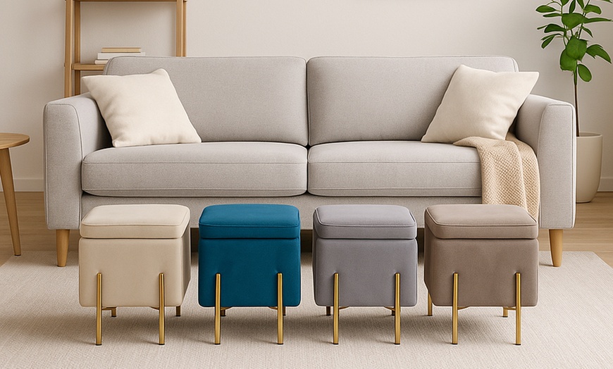 Image 1: Pouf contenitore in velluto