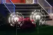 Two-Packs of SolarEra LED Solar Firework Outdoor Garden Lights - Second Medium